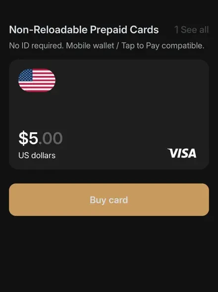 Detail of the Cards & Payments screen in the Borderless Banking app: a non-reloadable prepaid Visa card in US dollars